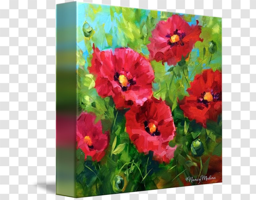 Common Poppy Gallery Wrap Wildflower - Red Poppies Transparent PNG