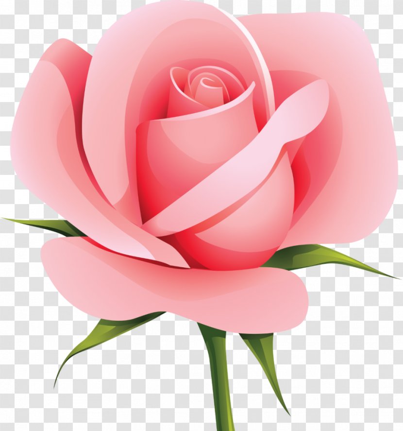 Flower Rose Clip Art - Family - Vector Transparent PNG