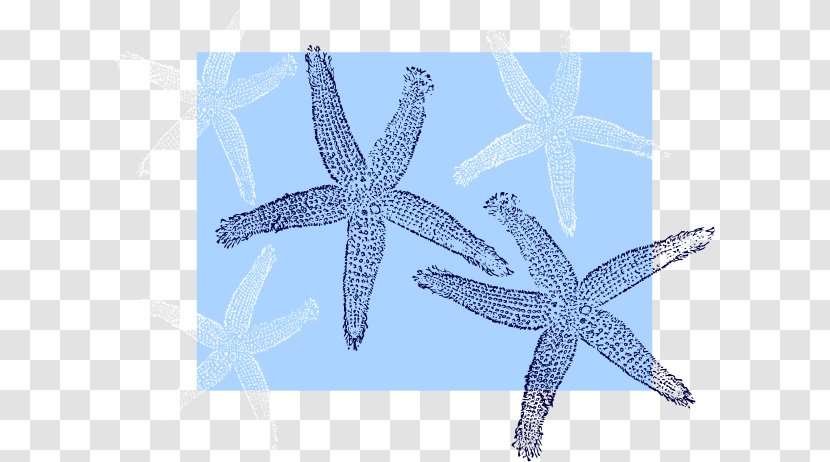 Starfish Echinoderm Beach Bag Unisex - Blue - Cartoon Transparent PNG