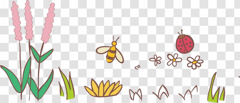 Bee Illustration - Petal - Flowers And Bees Transparent PNG