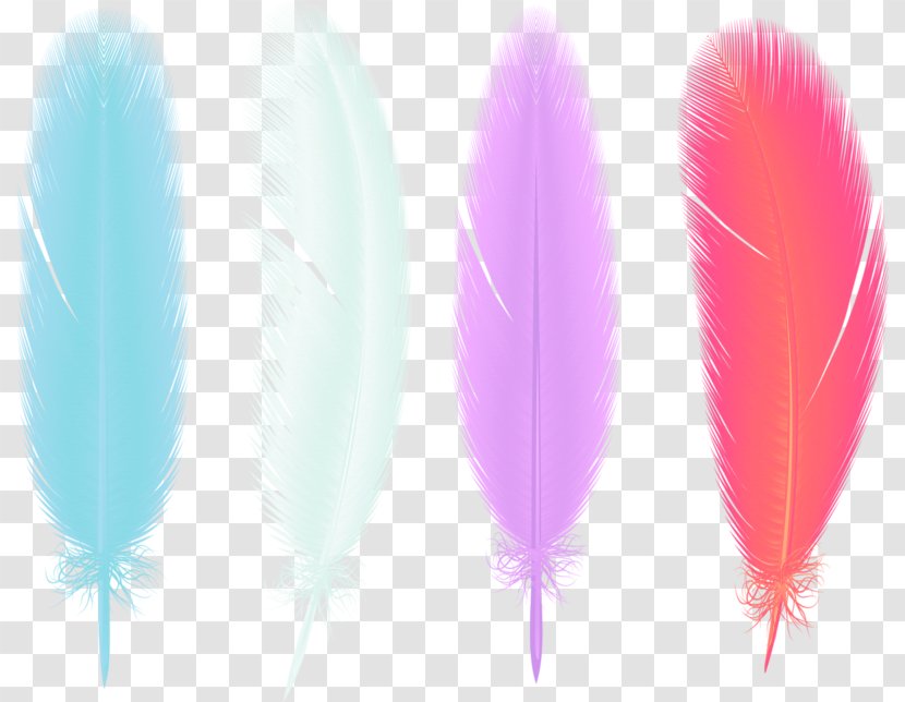 Feather Drawing Clip Art - Search Engine - Color Hand-painted Simple And Beautiful Feathers Decorative Patterns Transparent PNG