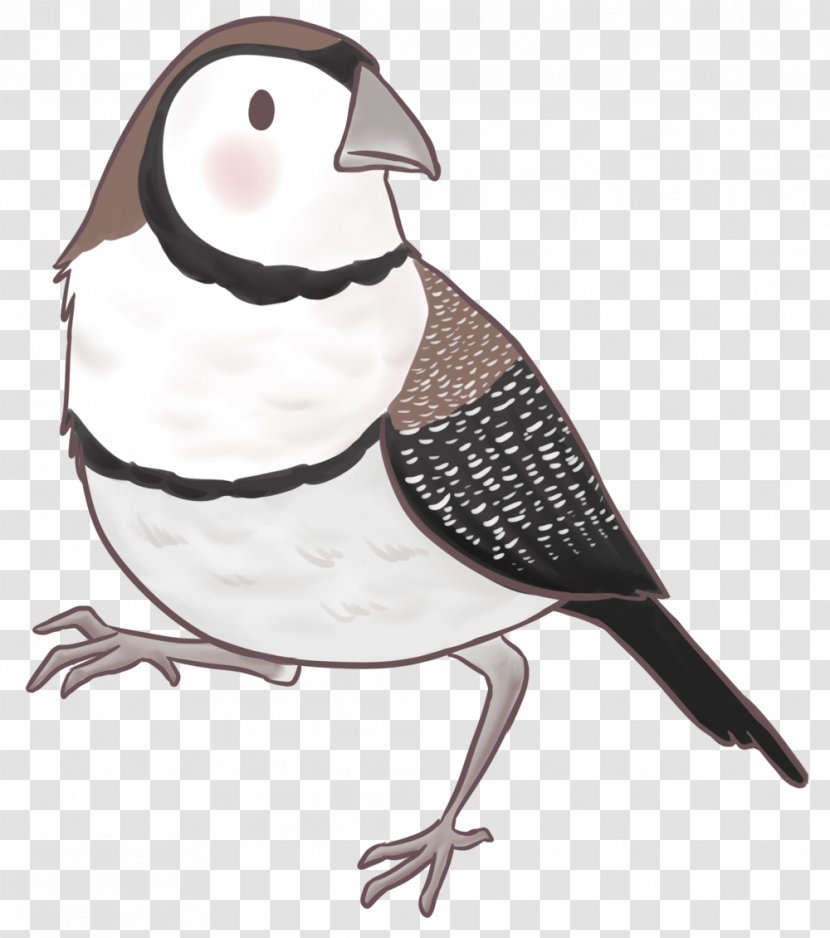 Fox Cartoon - Pastel - Perching Bird Finch Transparent PNG