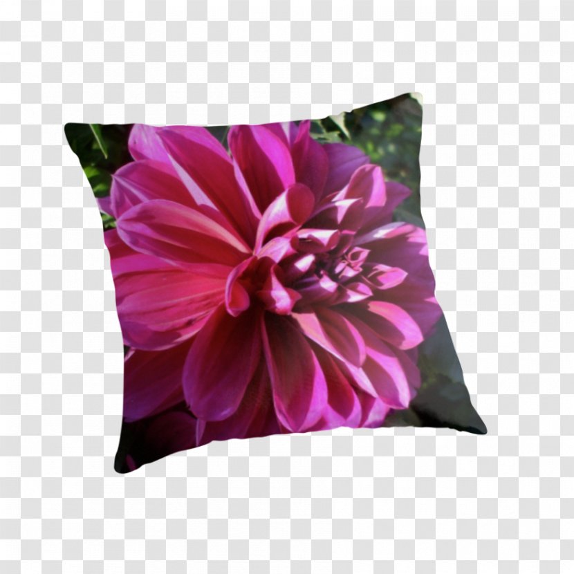 Dahlia Throw Pillows Cushion Cut Flowers - Plant - Garbage Transparent PNG