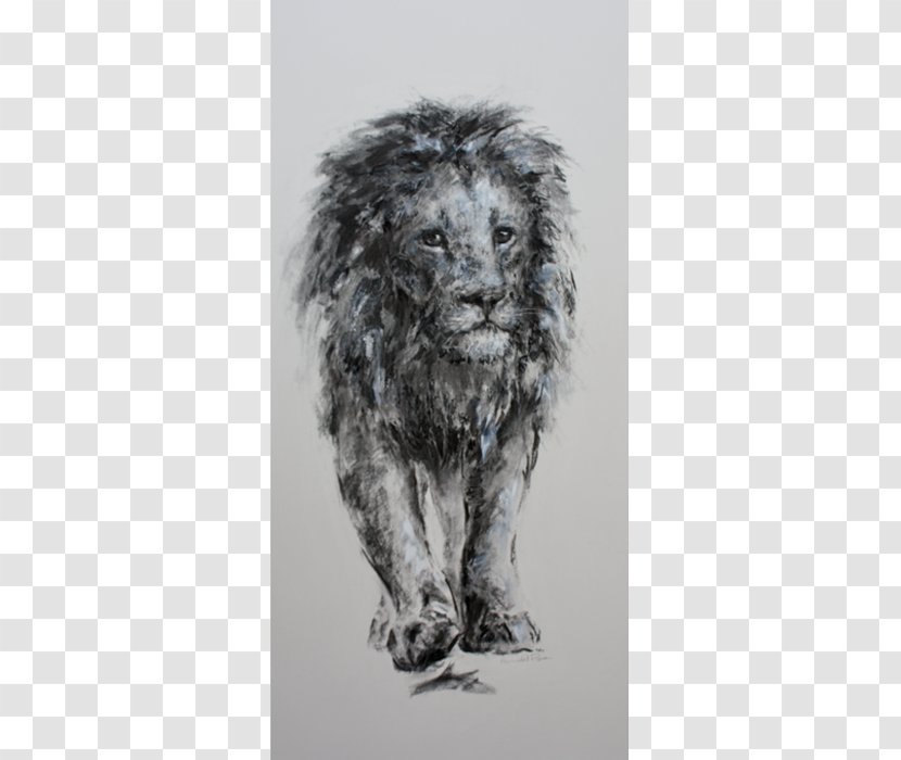 Lion Dog Breed Cat Fur - Like Mammal Transparent PNG