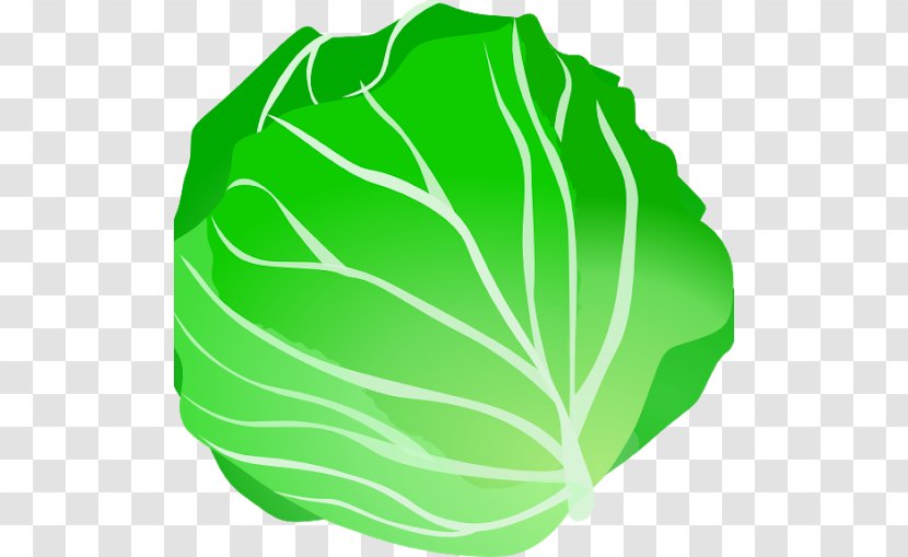 Clip Art Leaf Vegetable Cabbage Fruit - Salad Transparent PNG