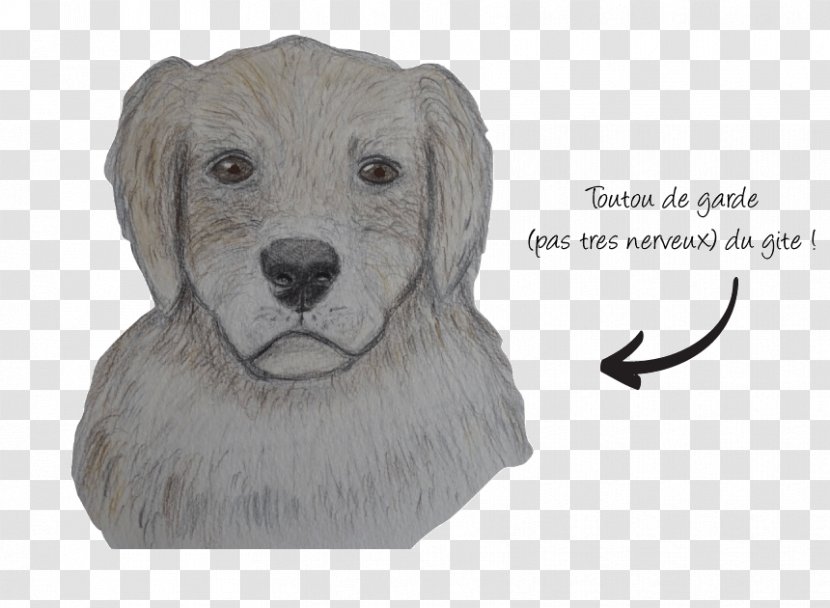 Dog Breed Le Mourtis Puppy Sporting Group - Love Transparent PNG