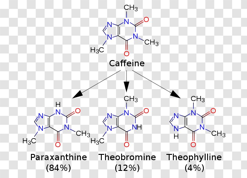 Coffee Tea Theobromine Paraxanthine Theophylline - Heart Transparent PNG