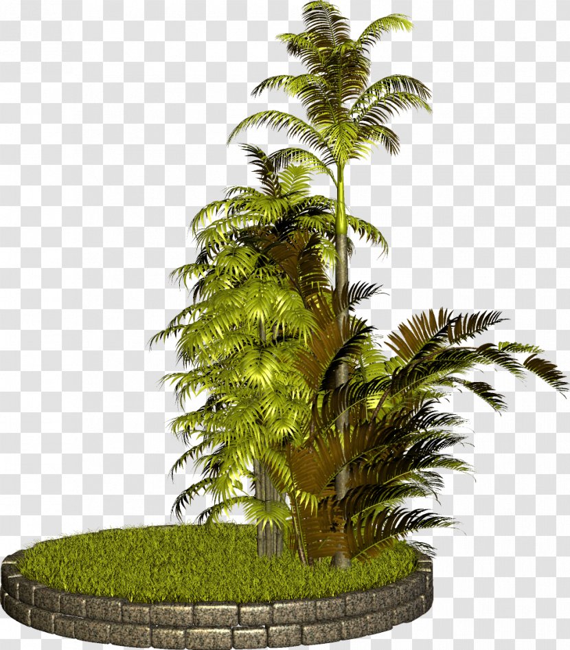 Tree Plant PhotoScape Clip Art - Arecales - Gurdwara Transparent PNG