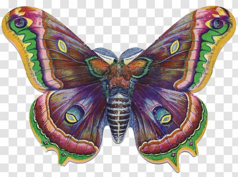 Butterfly Victorian Era Clip Art - Arthropod - Dragonfly Transparent PNG