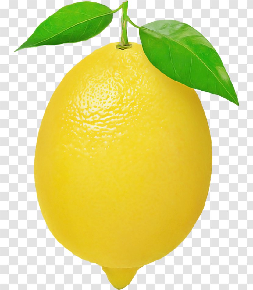 Lemon Citrus Yellow Fruit Sweet - Leaf - Persian Lime Transparent PNG