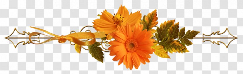 Orange - Petal - Flowering Plant Transparent PNG