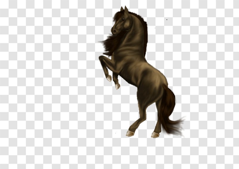 Mane Mustang Stallion Pony Halter - Horse Tack Transparent PNG