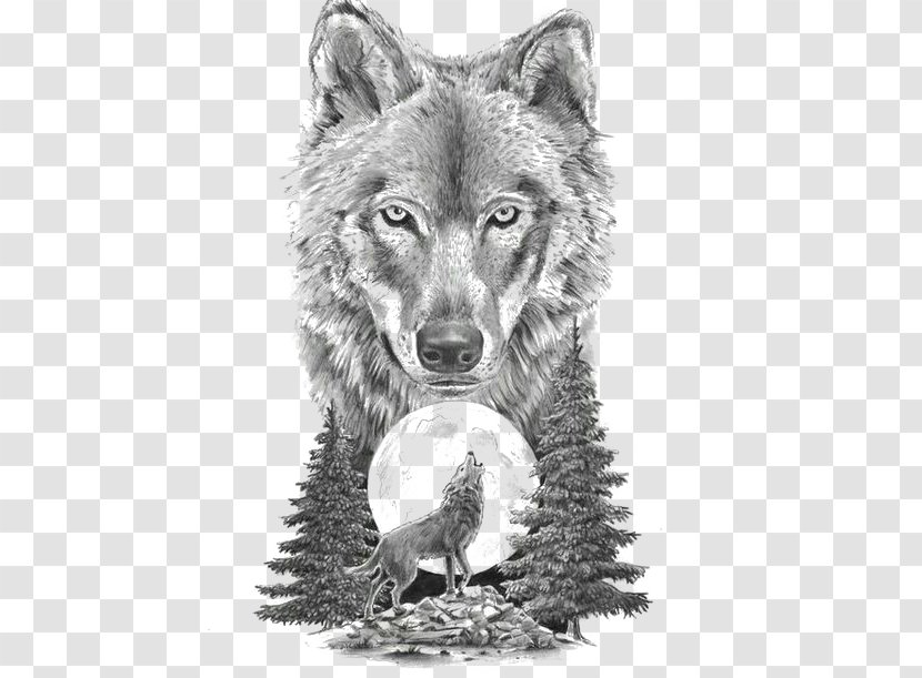 Gray Wolf Art In Motion Tattoo Studio Artist Drawing - Head - Sketch Animal Transparent PNG