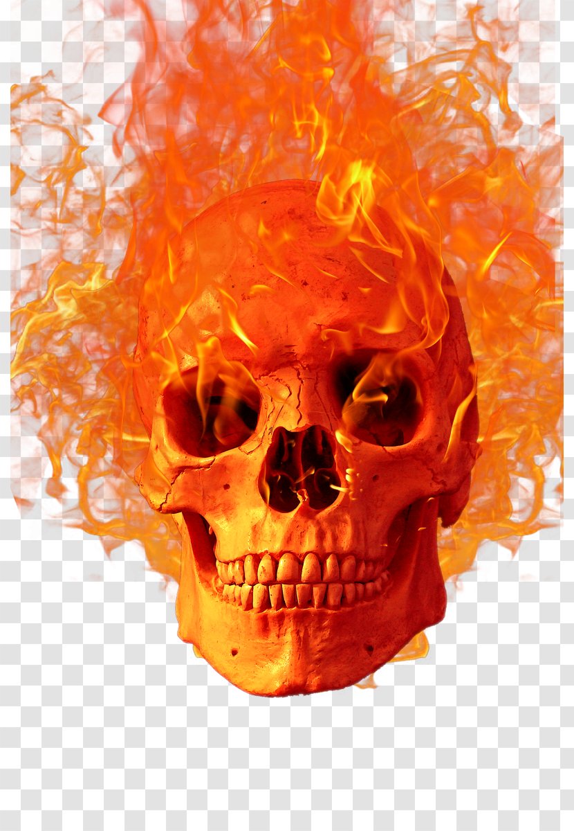 Flame Fire Icon - Skull - Halloween Transparent PNG