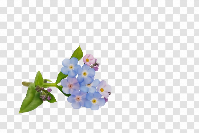 Lavender - Flower - Bouquet Lilac Transparent PNG
