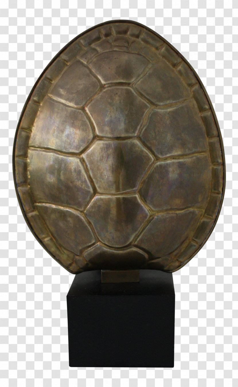 Tortoise Brown Transparent PNG