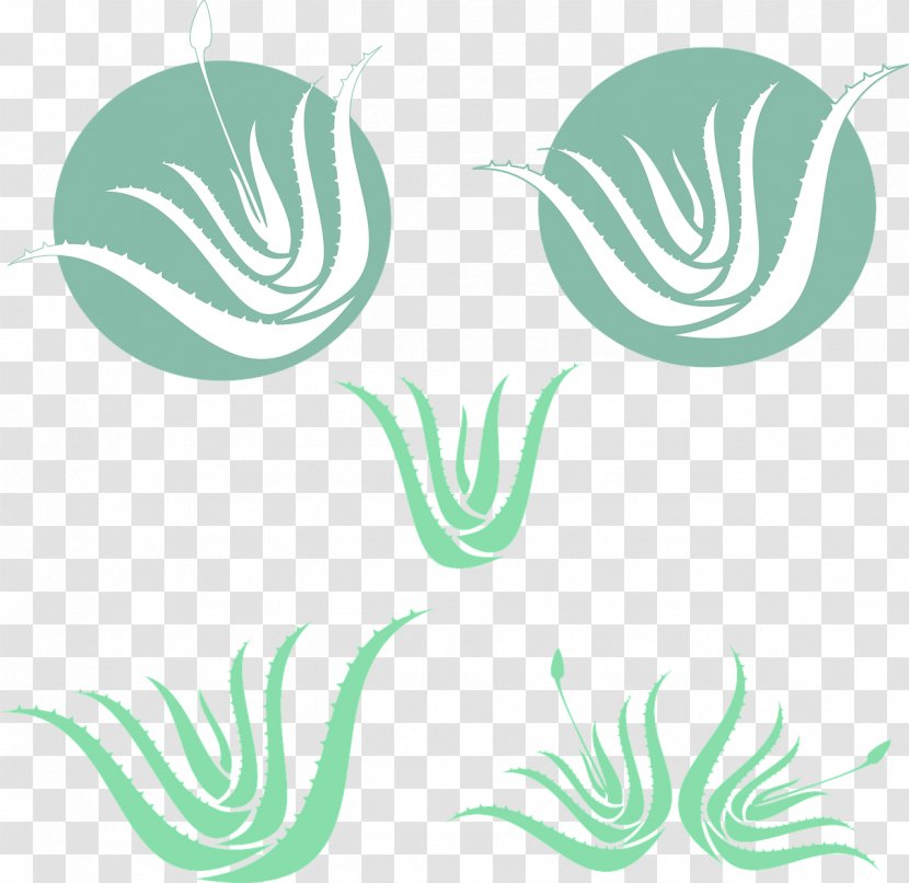 Aloe Vera Succulent Plant - Medicinal Plants Transparent PNG