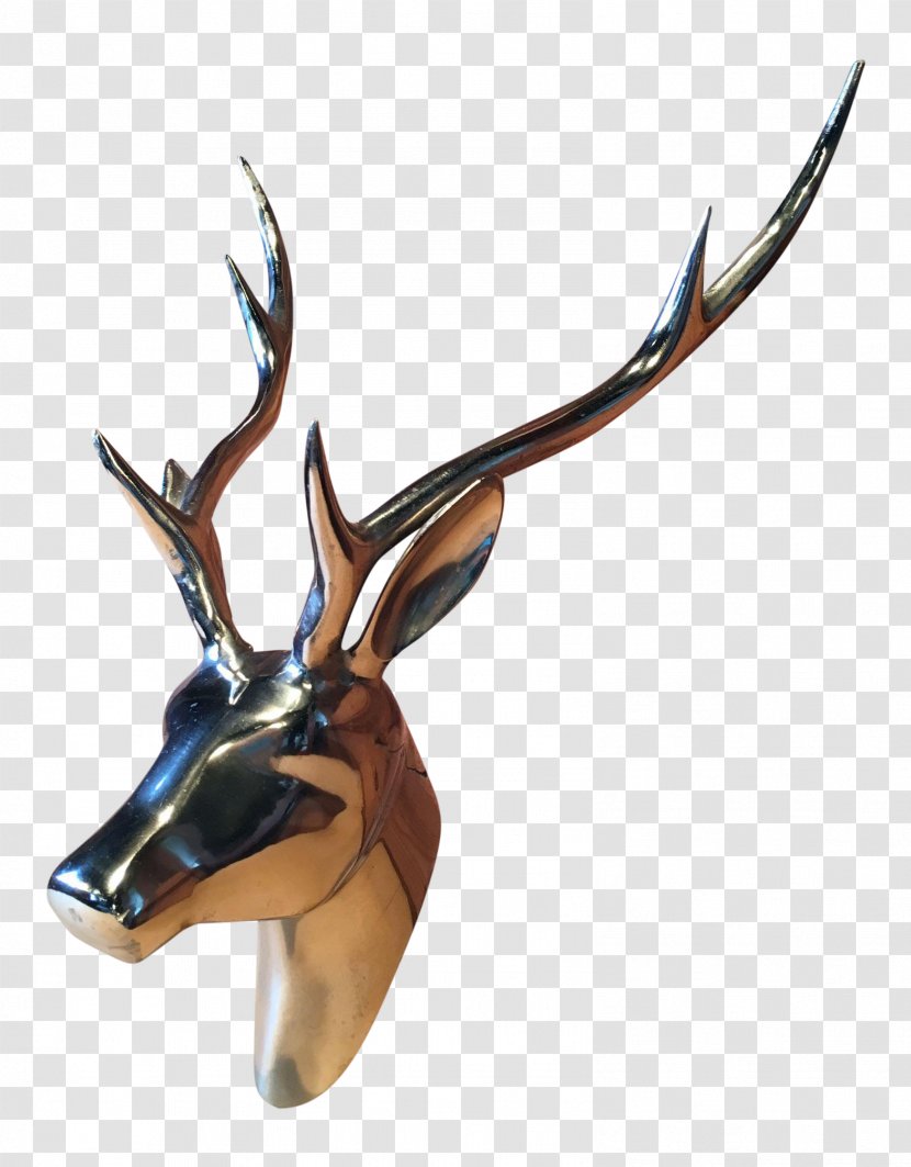 Deer Antelope Antler Wildlife - Large Head Transparent PNG