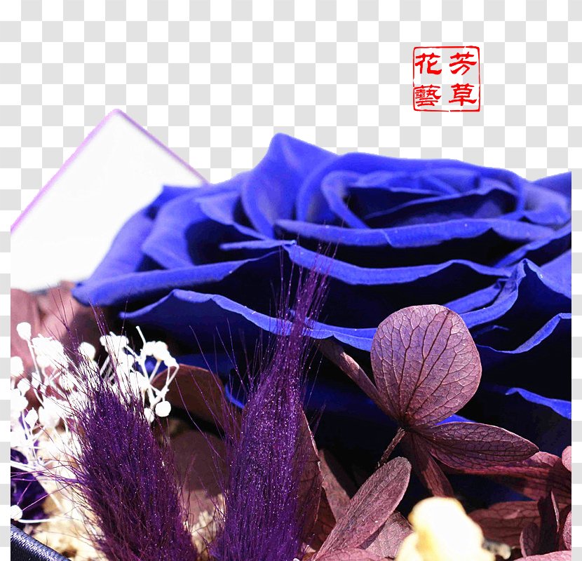Blue Flower Euclidean Vector - Purple - BLUELOVER Flowers Transparent PNG