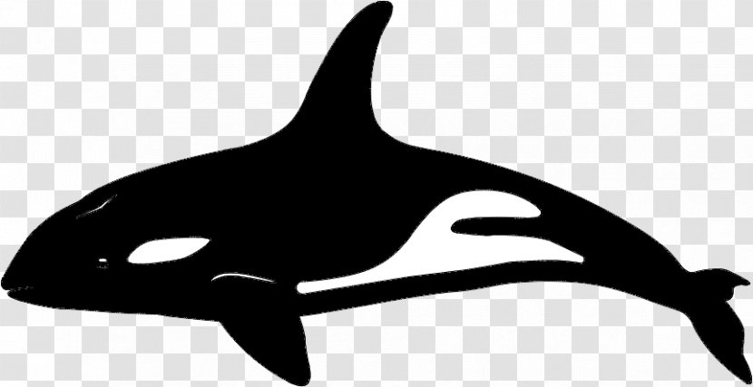 Killer Whale Dolphin Vector Graphics Whales Transparent PNG