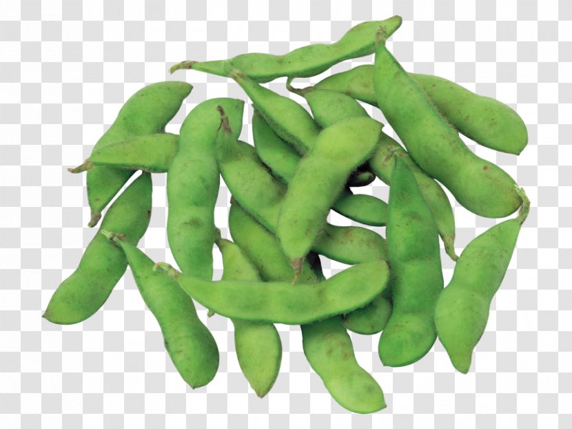 Snap Pea Edamame Vegetable Green - Cuisine Transparent PNG