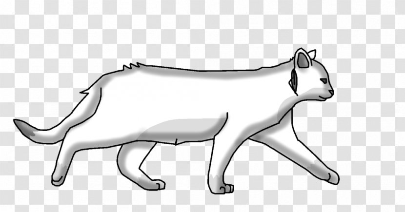 Cat Dog Mammal Cougar /m/02csf - Like Transparent PNG