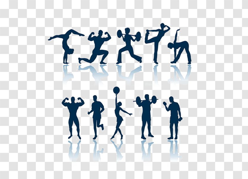 Exercise Physical Fitness Strength Training Health Weight Transparent PNG