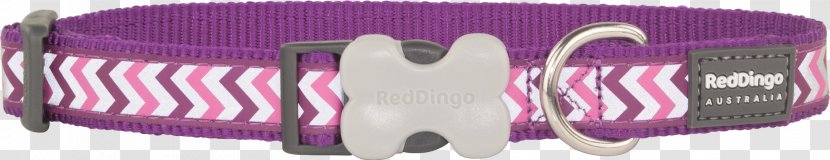 Dingo Dog Leash Cat Collar - Violet Transparent PNG