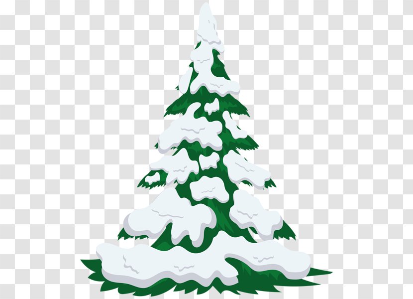 Christmas Tree Fir Snow Clip Art Transparent PNG