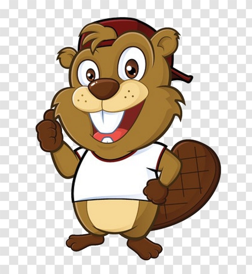 Beaver Cartoon Illustration Transparent PNG