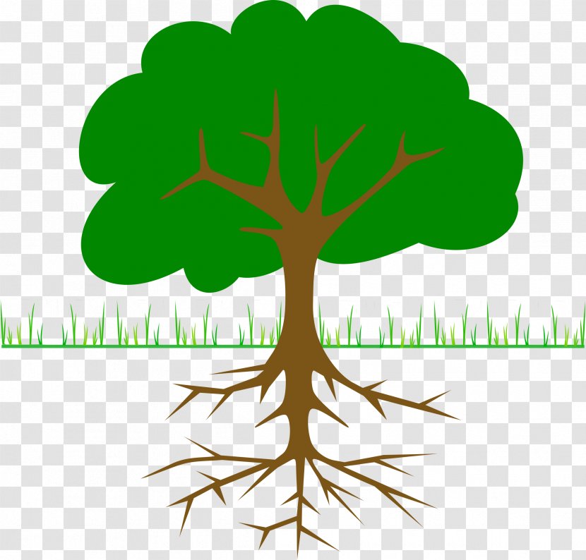 Tree Branch Clip Art - Root Transparent PNG