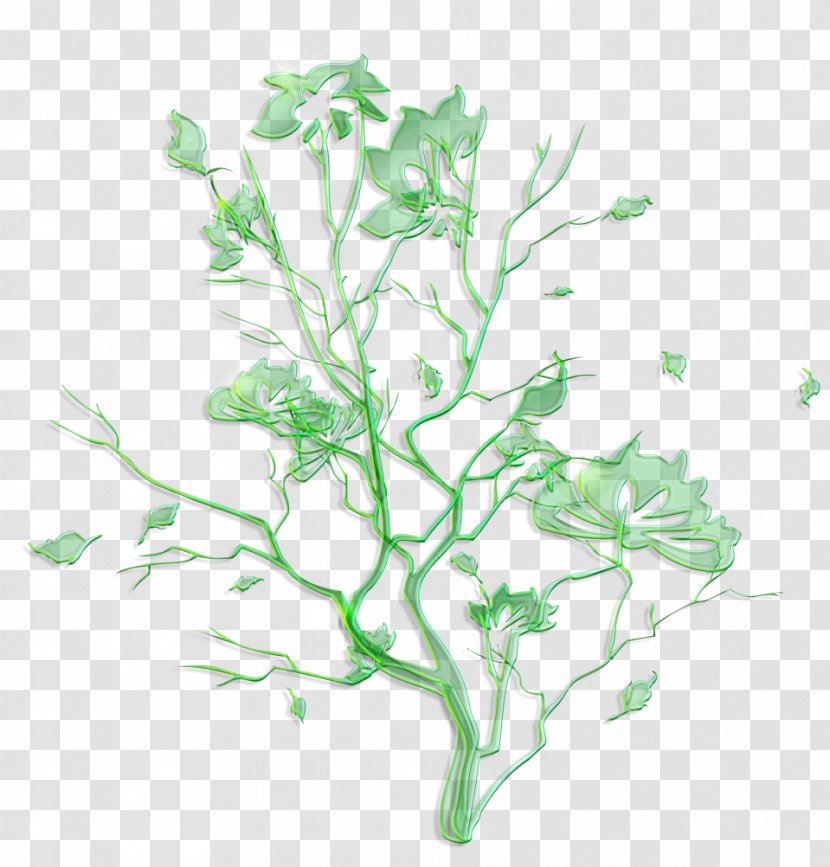 Branch Green Plant Leaf Stem - Twig Flower Transparent PNG