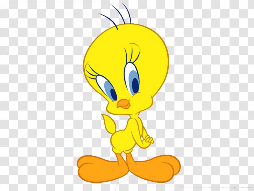 Tweety Drawing Looney Tunes Cartoon - Sylvester Mysteries - Images Transparent PNG