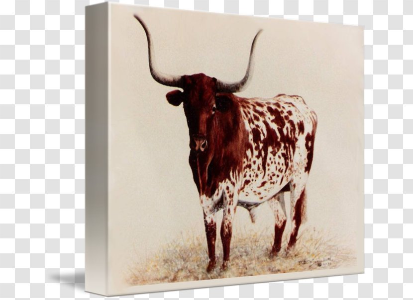Texas Longhorn Oil Painting Art Canvas Transparent PNG