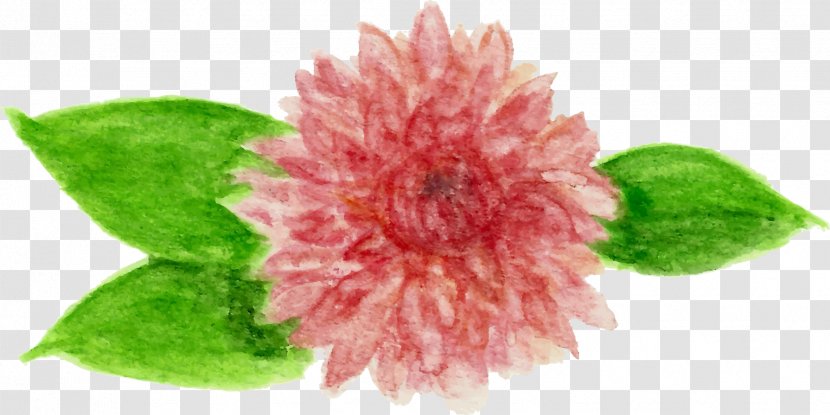 Cut Flowers Garden And Harvest Journal Dahlia Plant - Flower - Watercolour Transparent PNG