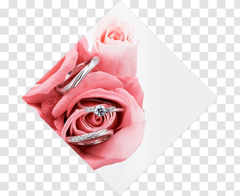 Garden Roses Wedding Ring ジュエリーかまた Engagement - Rose Order - Handmade Jewelry Brand Transparent PNG