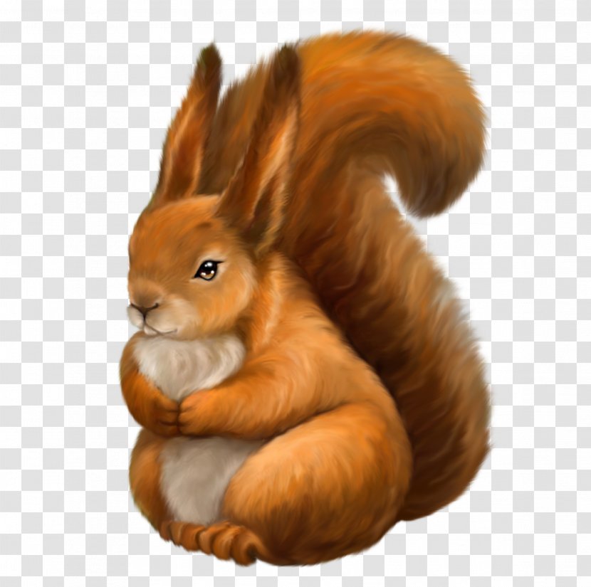 Tree Squirrels Rebus - Mammal - Squirrel Transparent PNG