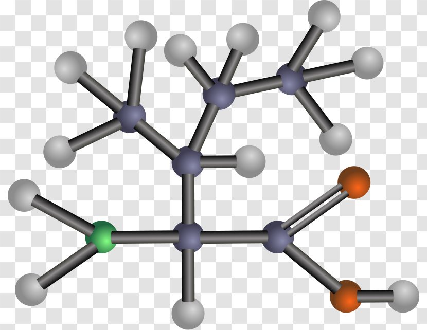 Essential Amino Acid Clip Art Asparagine Amine - Valine Transparent PNG