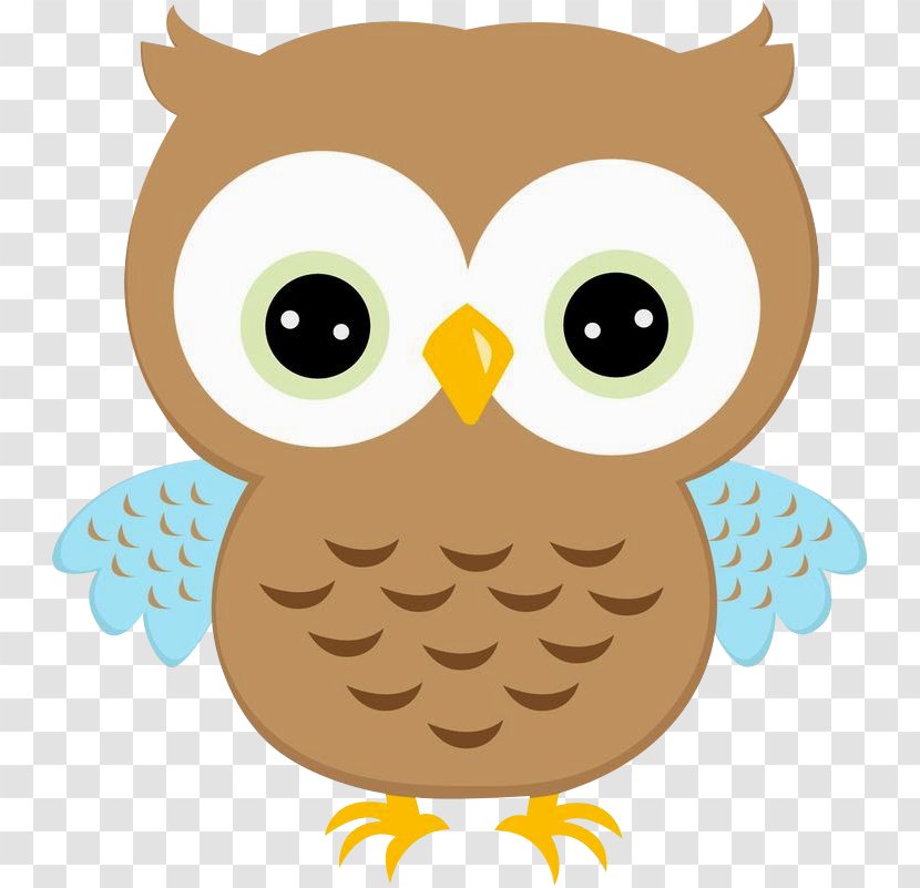 Owl Drawing Clip Art - Beak - Clipart Transparent PNG