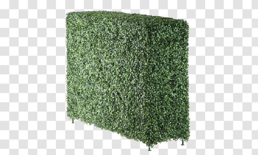 Green Grass Background - Box - Artificial Turf Rectangle Transparent PNG