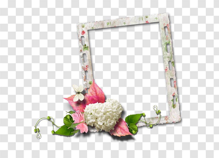 Picture Frame Photography Film - Rectangle - Floral Border Label Flower Painting Transparent PNG