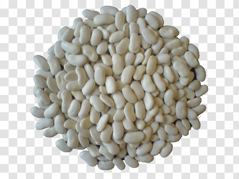 Common Bean Kastoria Legume Commodity Cepora - Nuts Seeds - Gig Transparent PNG