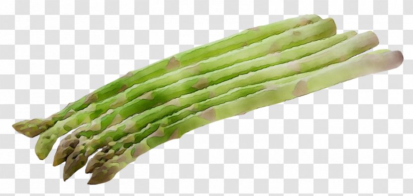 Asparagus Fordyce Spots Vegetarian Cuisine Therapy Symptom - Plant Transparent PNG