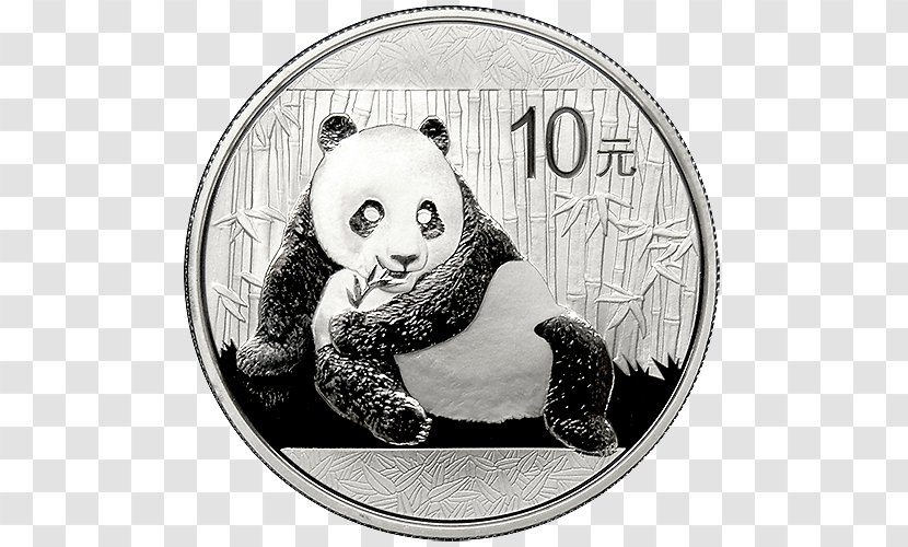 Giant Panda Chinese Silver Gold Coin - China Transparent PNG