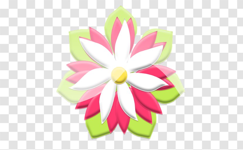 Gizem Çiçek JARZA S.r.o. Child Flower - Elbistan - Cranford Florist Gifts Llc Transparent PNG