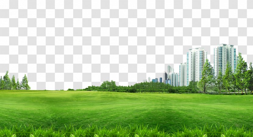 Lawn Wallpaper - Architecture - Building Material Pull Grass Background Free Transparent PNG