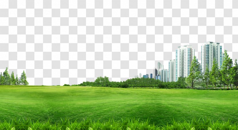 lawn wallpaper architecture building material pull grass background free transparent png building material pull grass background