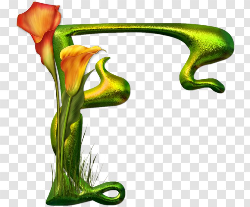 Letter Alphabet Flower V - Botanique Transparent PNG