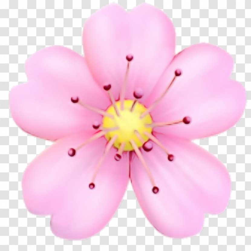 Cherry Blossom Cartoon - Wildflower - Plant Transparent PNG