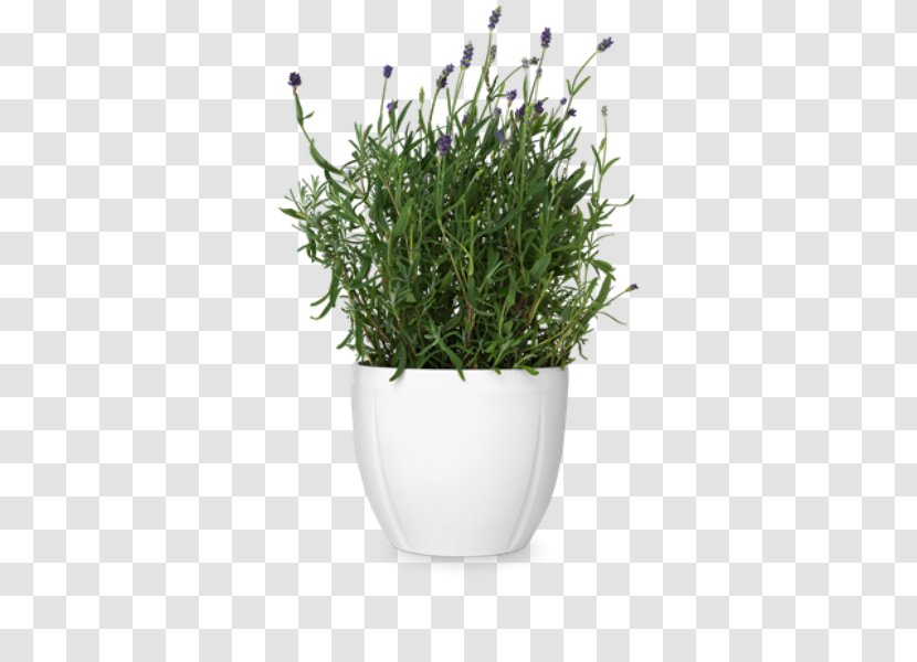 Flowerpot Cachepot Rosendahl Earthenware Vase - Plant - Flower Pot Transparent PNG